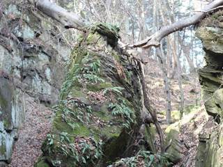 Parkaň 04 - Daniela Tomášiková