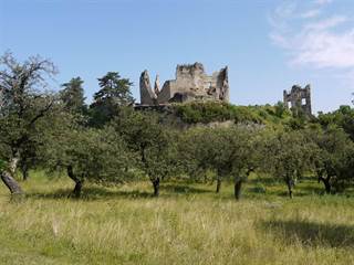 Hrad Divín 3 - František Radinger