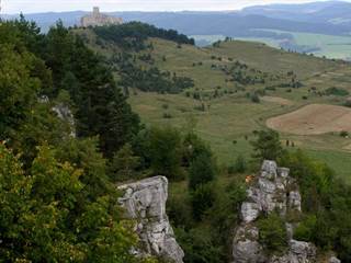 Dreveník 8 - Daniela Tomášiková