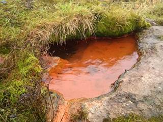 Mičinské travertíny 5 - Palino Peťovský
