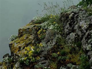 Krivín 4 - Daniela Tomášiková