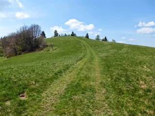 Biely vrch 2 - Marcel Pribiš