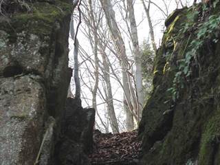 Parkaň 06 - Daniela Tomášiková