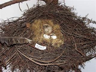 Mestské múzeum v Rajci 12