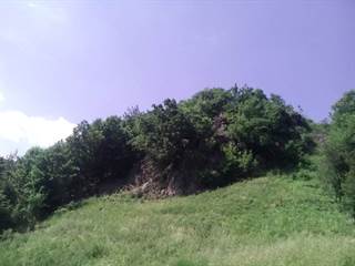 Turovský sopúch 4 - Mario Mikula