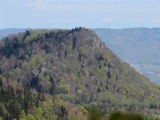 Malý Grič 6 - Daniela Tomášiková