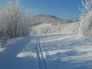 Šimonka 10 - Paulina Melková