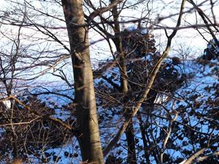 Demian 4 - Daniela Tomášiková