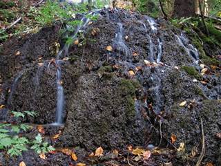 Teplické serpentíny 18 - Majtán Robo