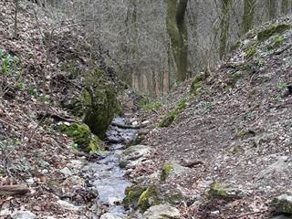 Hlbočianska dolina 4 - Michal Vaculík