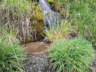 Bukovinka 4 - Majtán Robo