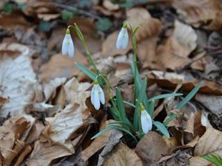 Rankovské skaly 7 - Paulina Melková