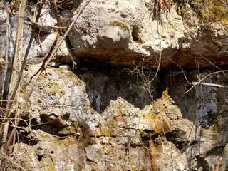 Zolniansky lahar 3 - Daniela Tomášiková