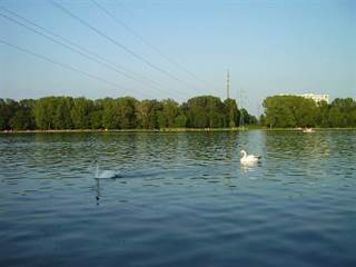 Veľký draždiak 2 - Wizzard