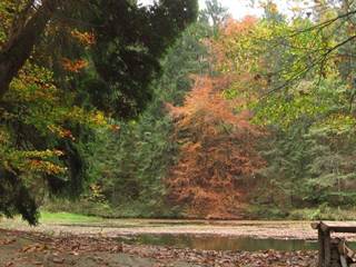 Teplické serpentíny 1 - Majtán Robo