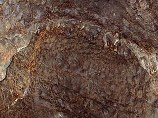 Netopieria jaskyňa 04 - Majtán Robo