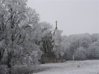 Rastlinný kostol 12 - Viktor Szemán