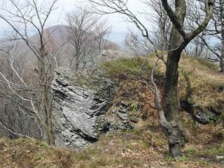 Praporec 3 - Paulina Melková