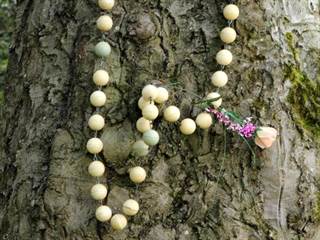 Rastlinný kostol 15 - Daniela Tomášiková