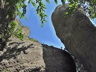 Babice 9 - Majtán Robo