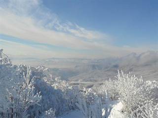 Šimonka 2 - Paulina Melková