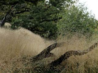 Zlatnícka skalka 5 - Daniela Tomášiková