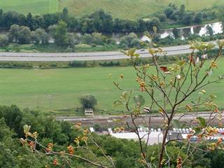 Havrania skala 4 - Daniela Tomášiková