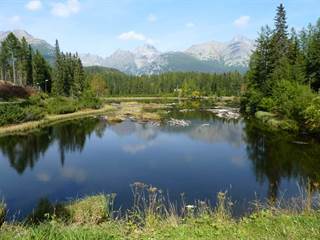 Nové Štrbské pleso 1 - Podzemnik