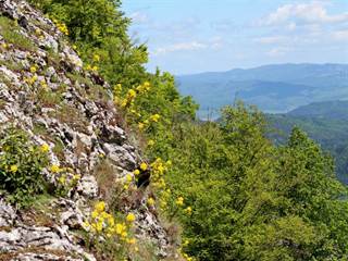 Veľký Manín 3 - Daniela Tomášiková
