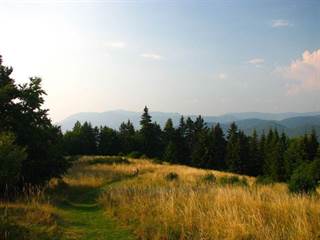 Vyšehrad 6 - Palino Peťovský