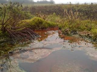 Mičinské travertíny 8 - Palino Peťovský