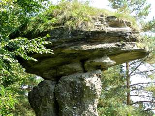 Markušovský skalný hríb 2 - Daniela Tomášiková