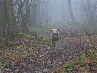 Havrania skala 11 - vypadni.sk