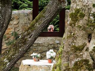 Rastlinný kostol 14 - Daniela Tomášiková