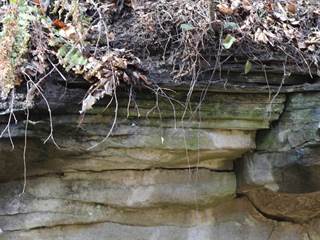 Parkaň 11 - Daniela Tomášiková