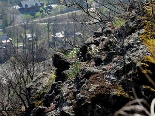 Veľká stráž 2 - Daniela Tomášiková