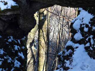 Demian 3 - Daniela Tomášiková