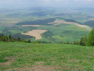 Sľubica 4 - Paulina Melková