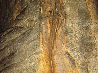 Netopieria jaskyňa 10 - Majtán Robo