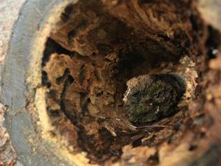 Havrania skala 9 - vypadni.sk