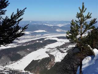 Veľký Manín 9 - Štefan Zvak
