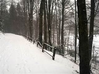 Morské oko 5 - Palino Peťovský