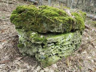 mala pec 7 - vypadni.sk