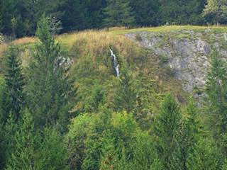 Bukovinka 2 - Majtán Robo