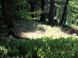 Dračí hrádok 3 - Daniela Tomášiková