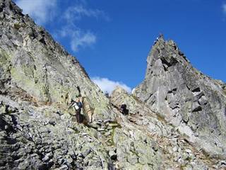 Priečne sedlo 5 Branork