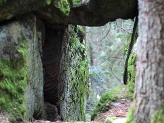 Hradisko na Kláštore 02 - Daniela Tomášiková