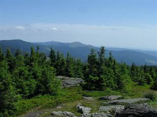 Volovec - Skalisko 6 - Paulina Melková