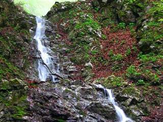 Veľká Bránica 6 - Majtán Robo