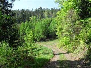 Sľubica 7 - Paulina Melková